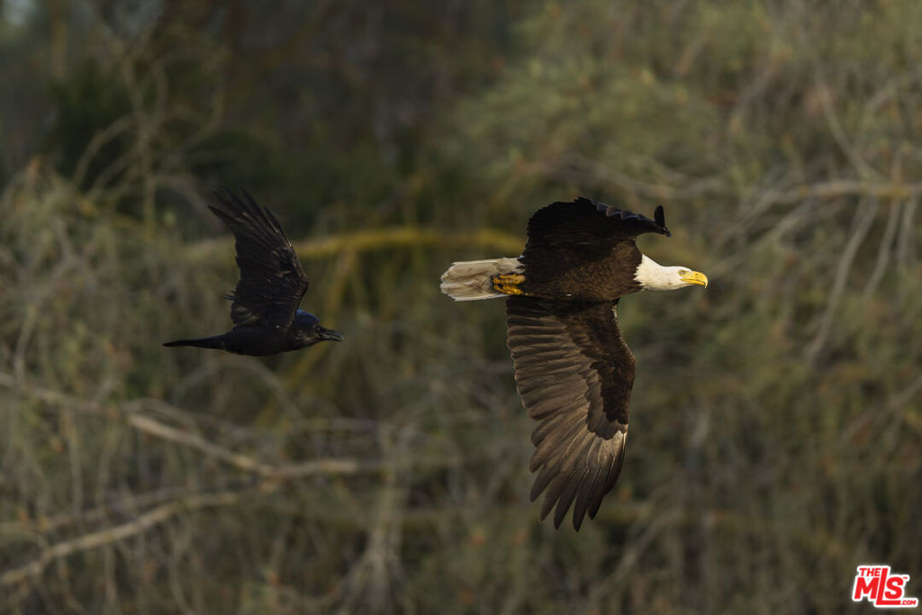 41924 Patrick Ave, Coarsegold, CA 93614