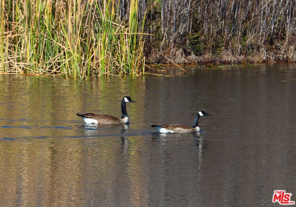 41924 Patrick Ave, Coarsegold, CA 93614