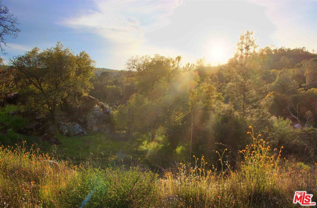 41924 Patrick Ave, Coarsegold, CA 93614