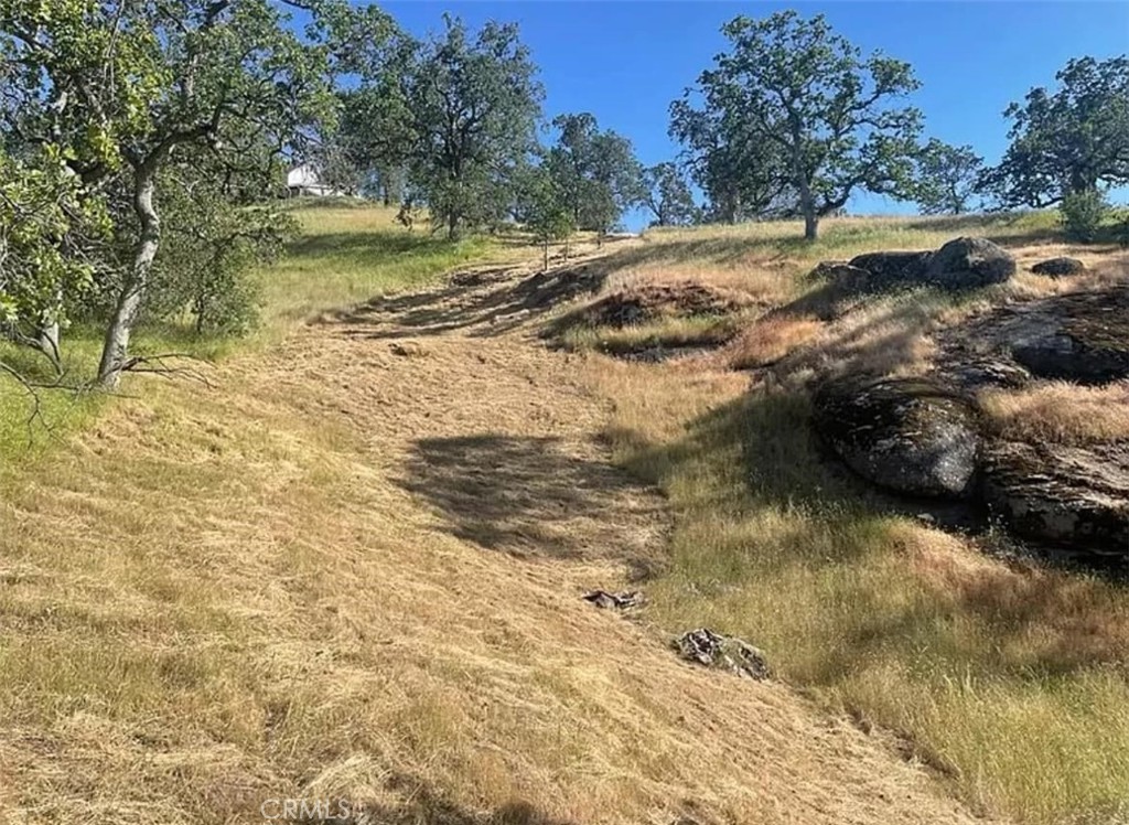 29777 Lilley Mountain Ct, Coarsegold, CA 93614