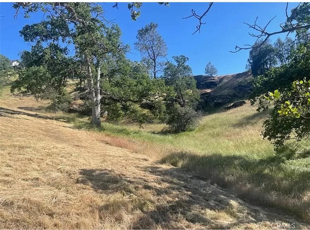 29777 Lilley Mountain Ct, Coarsegold, CA 93614