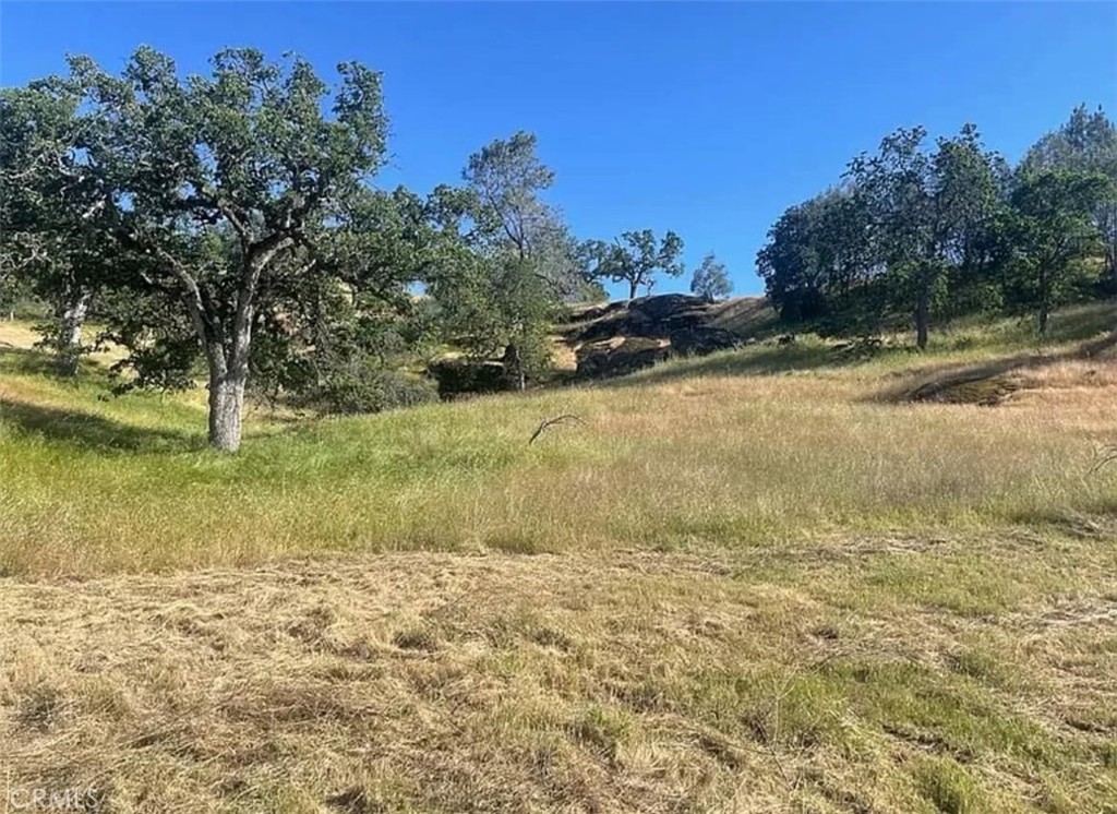 29777 Lilley Mountain Ct, Coarsegold, CA 93614