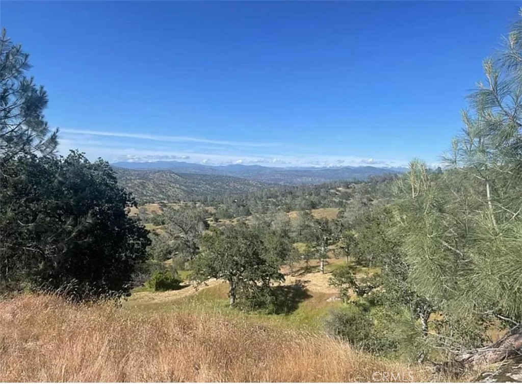 29777 Lilley Mountain Ct, Coarsegold, CA 93614