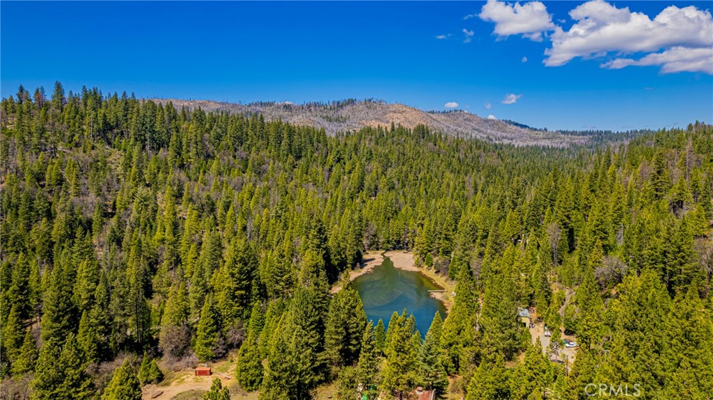 50054 Poplar Rd, Oakhurst, CA 93644