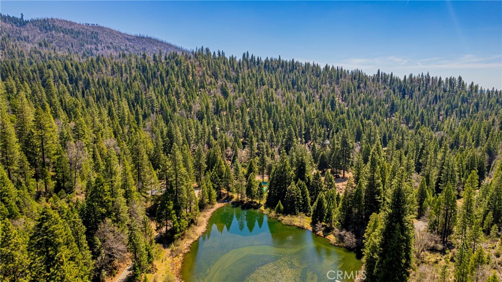 50054 Poplar Rd, Oakhurst, CA 93644