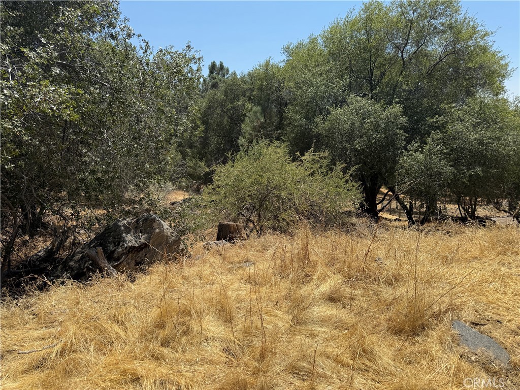 1 N Dome Dr, Coarsegold, CA 93614