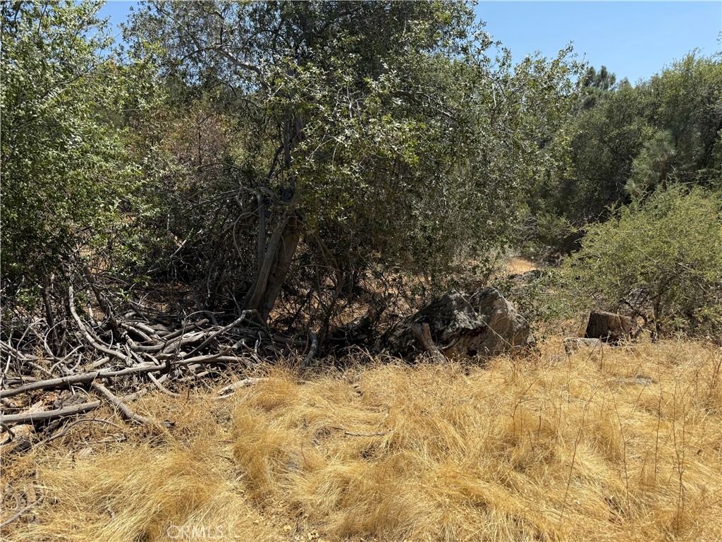 1 N Dome Dr, Coarsegold, CA 93614