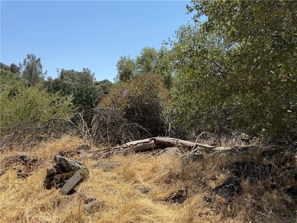 1 N Dome Dr, Coarsegold, CA 93614