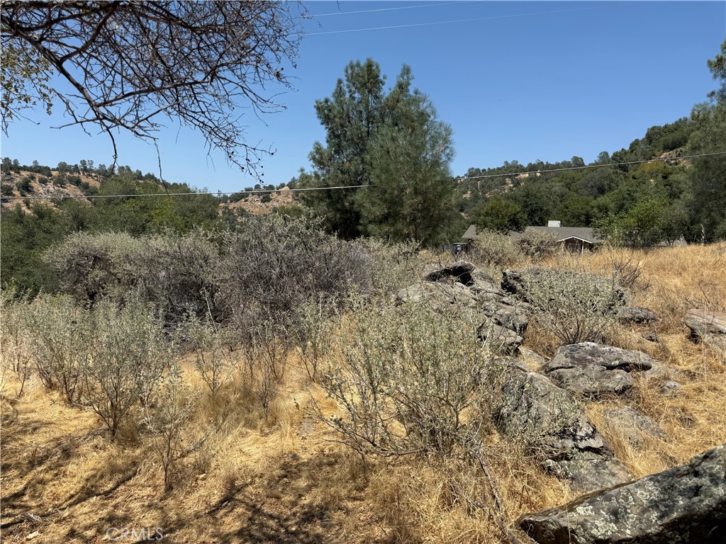 1 N Dome Dr, Coarsegold, CA 93614