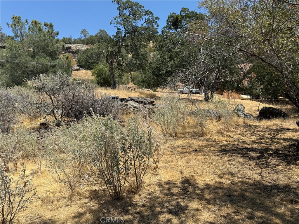 1 N Dome Dr, Coarsegold, CA 93614