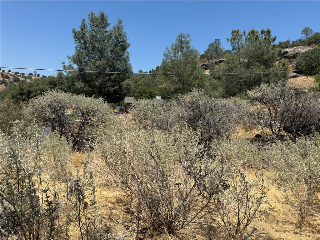 1 N Dome Dr, Coarsegold, CA 93614
