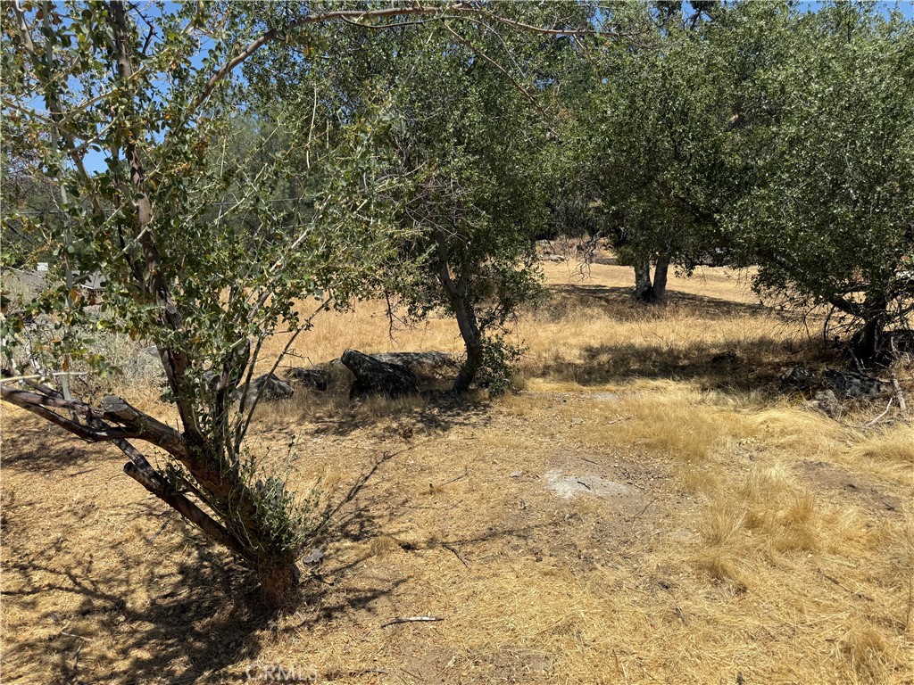 1 N Dome Dr, Coarsegold, CA 93614