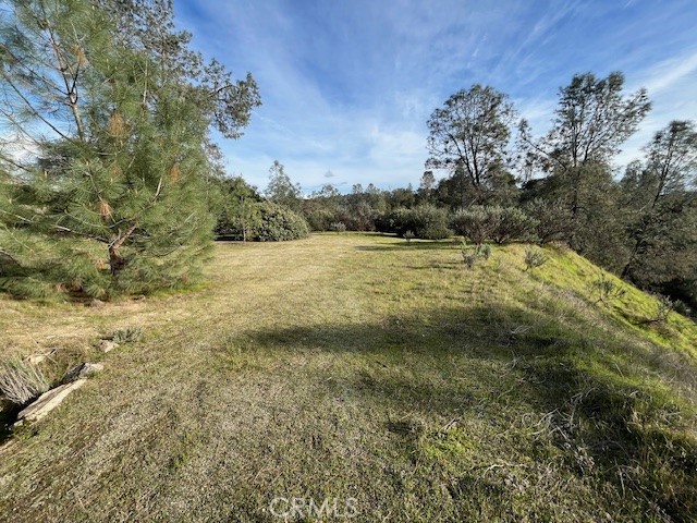 1713 S Longhollow Ct, Coarsegold, CA 93614