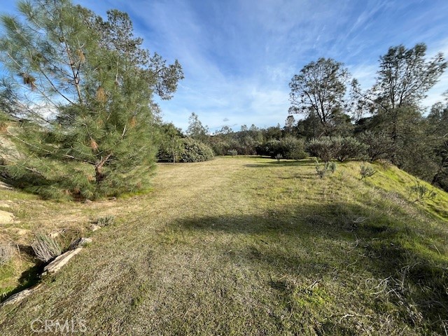 1713 S Longhollow Ct, Coarsegold, CA 93614