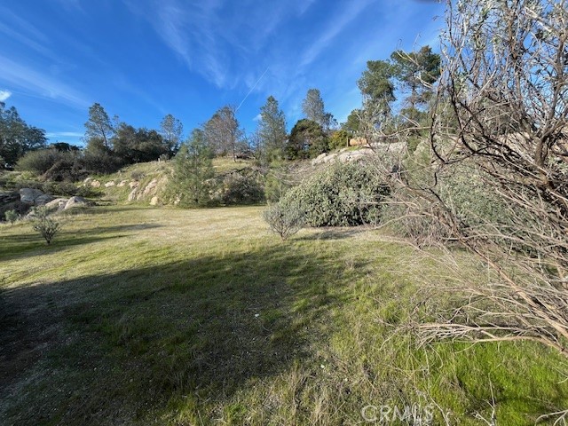 1713 S Longhollow Ct, Coarsegold, CA 93614