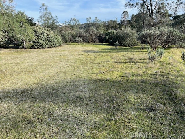 1713 S Longhollow Ct, Coarsegold, CA 93614