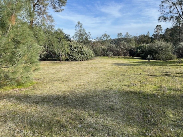 1713 S Longhollow Ct, Coarsegold, CA 93614