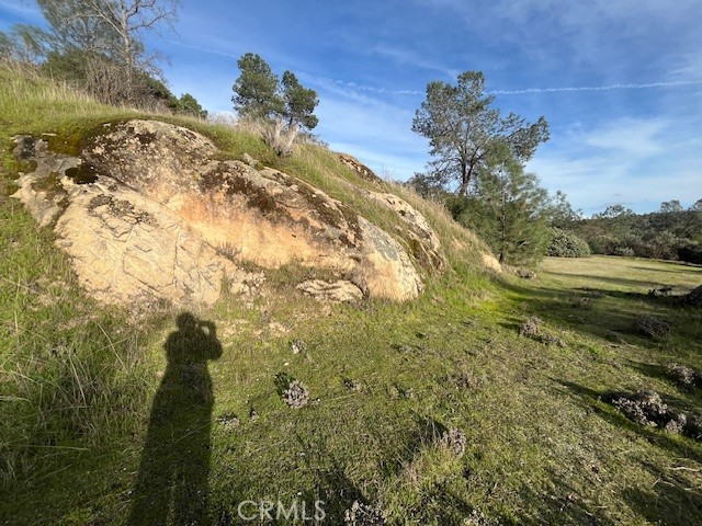 1713 S Longhollow Ct, Coarsegold, CA 93614