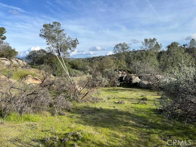 1713 S Longhollow Ct, Coarsegold, CA 93614