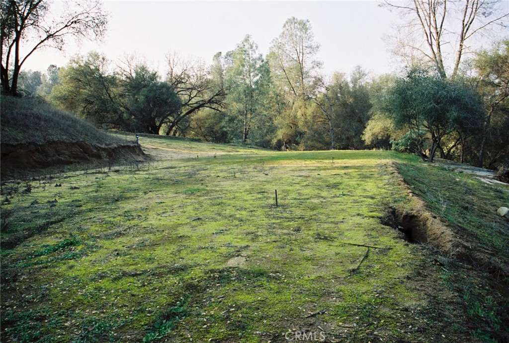 0 3.12 AC River Knolls Rd, Coarsegold, CA 93614