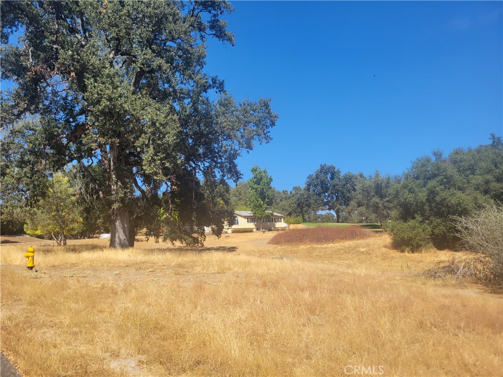 1 Acre Griffin Dr, Oakhurst, CA 93644
