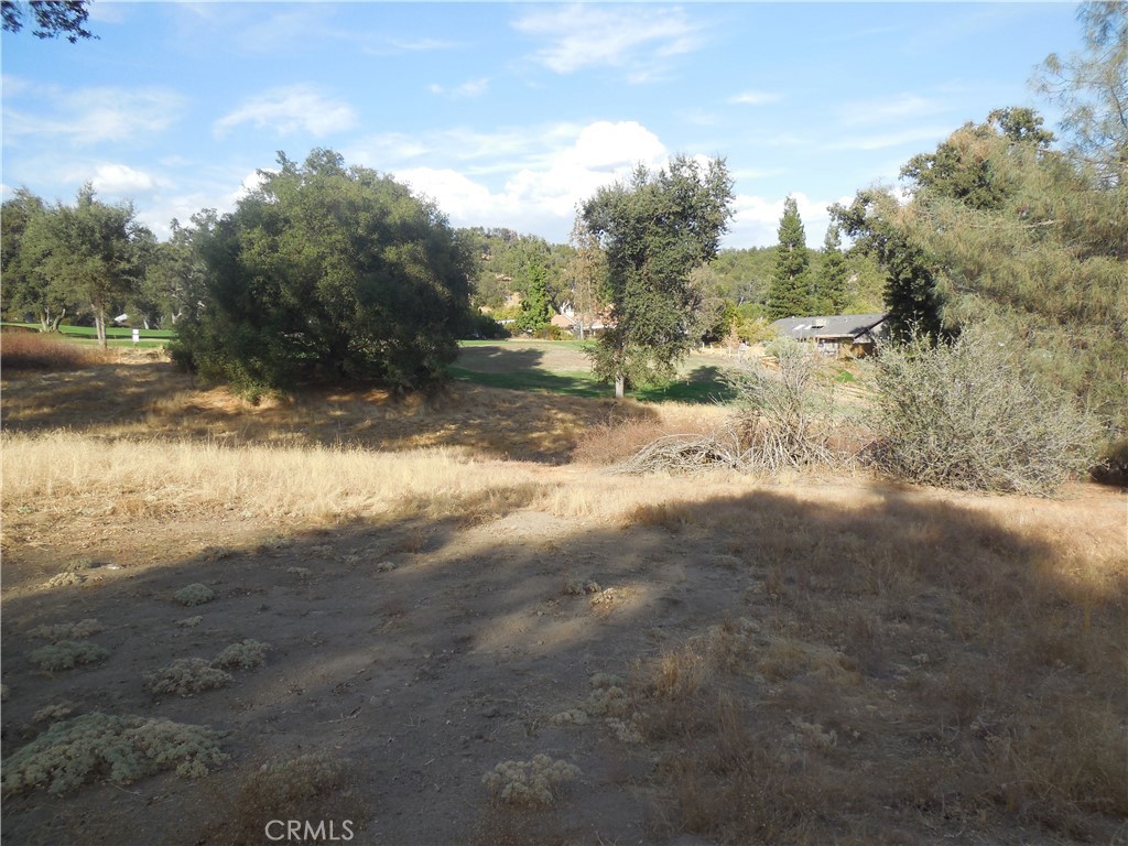 1 Acre Griffin Dr, Oakhurst, CA 93644