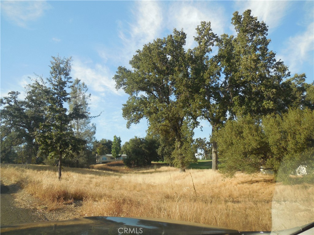 1 Acre Griffin Dr, Oakhurst, CA 93644