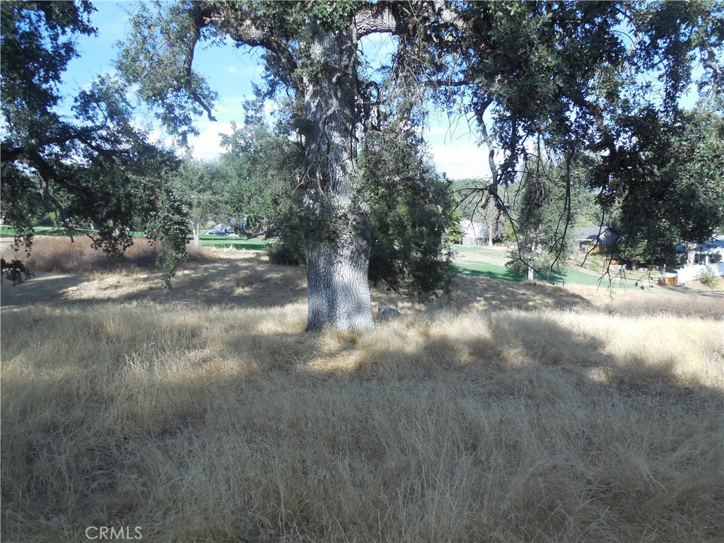1 Acre Griffin Dr, Oakhurst, CA 93644