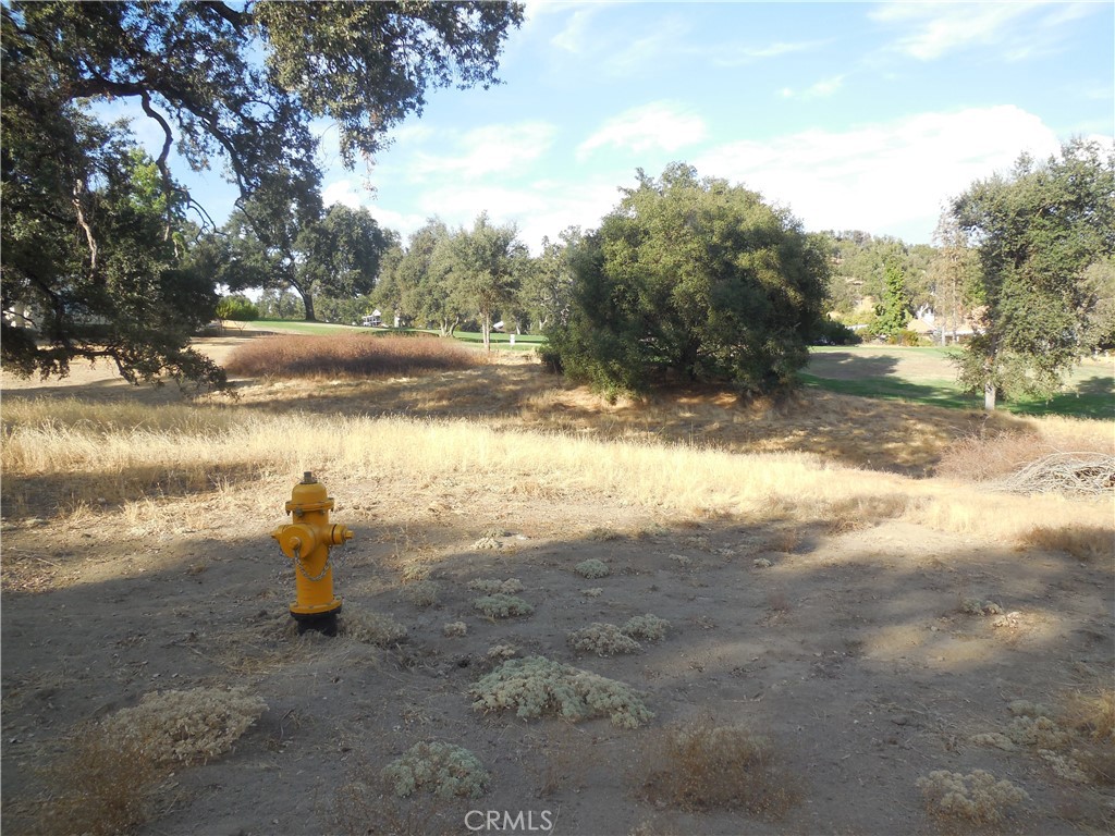 1 Acre Griffin Dr, Oakhurst, CA 93644