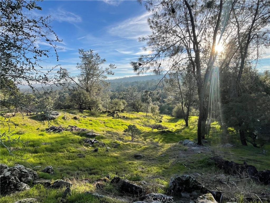 1220 Corral Dr, Coarsegold, CA 93614