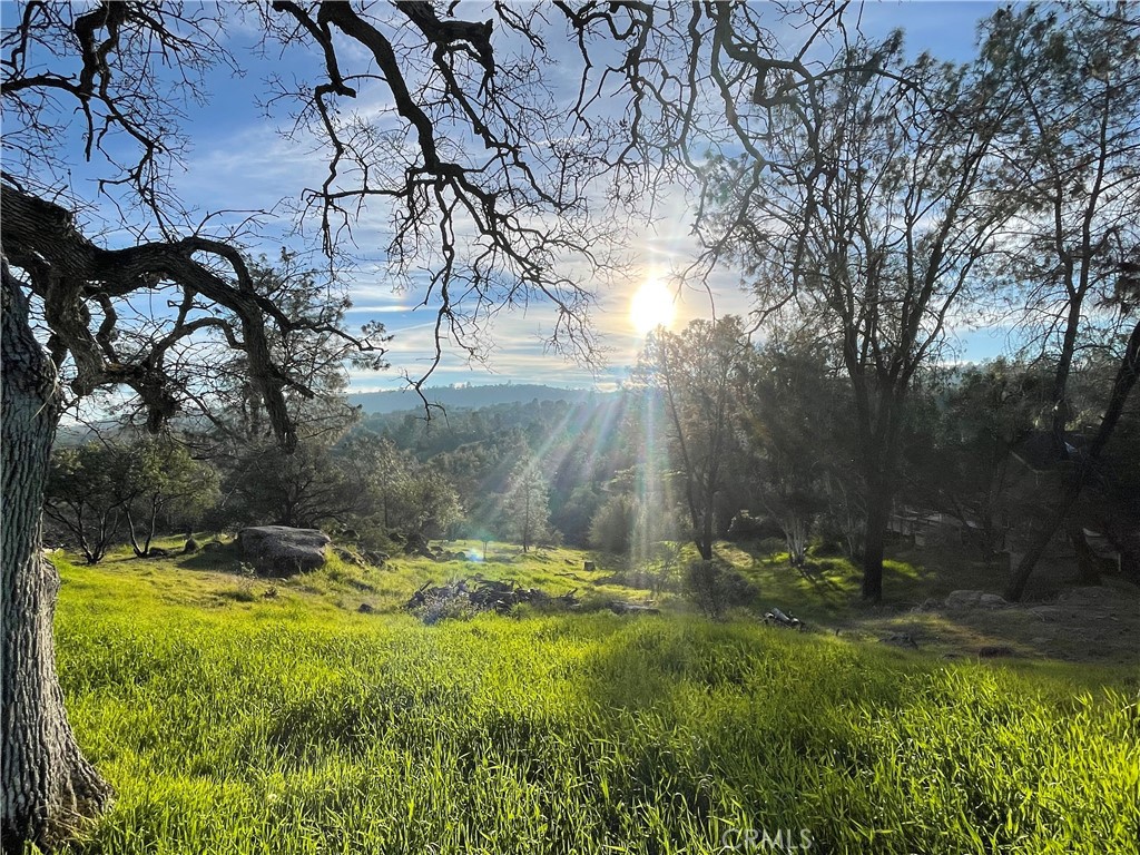 1220 Corral Dr, Coarsegold, CA 93614