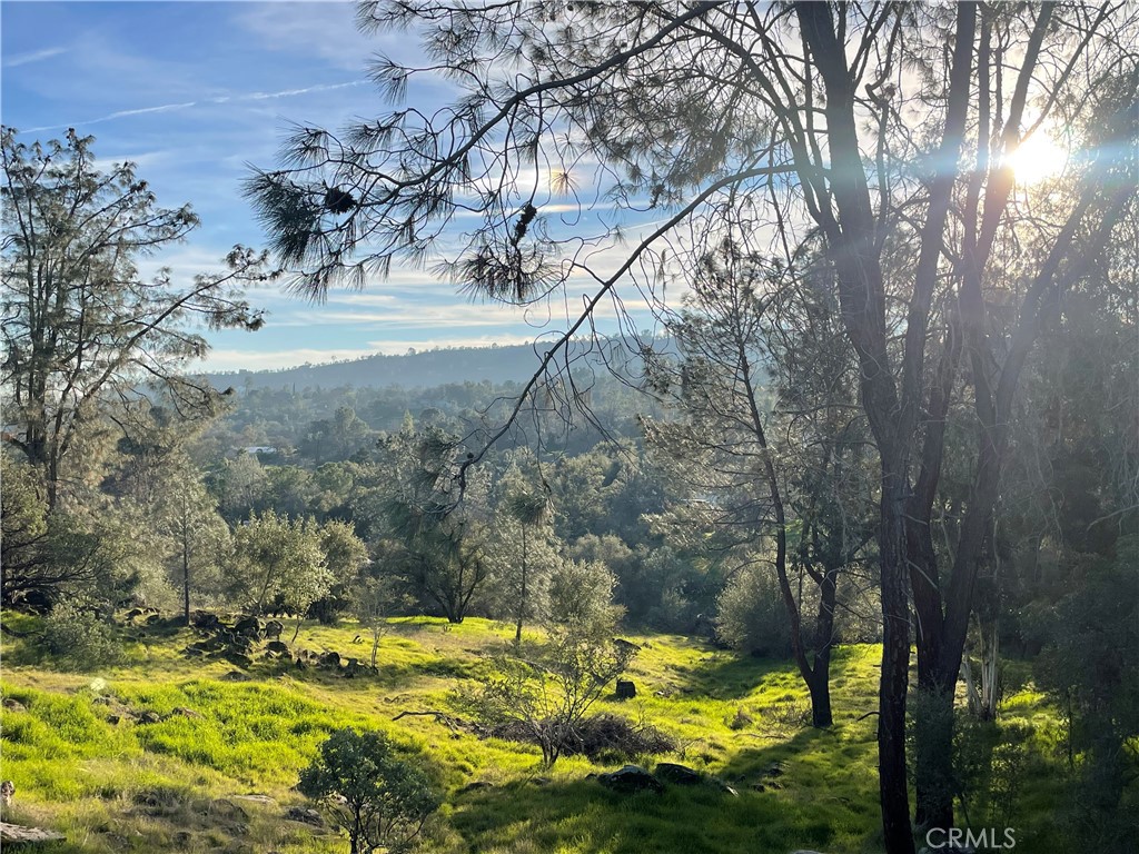 1220 Corral Dr, Coarsegold, CA 93614