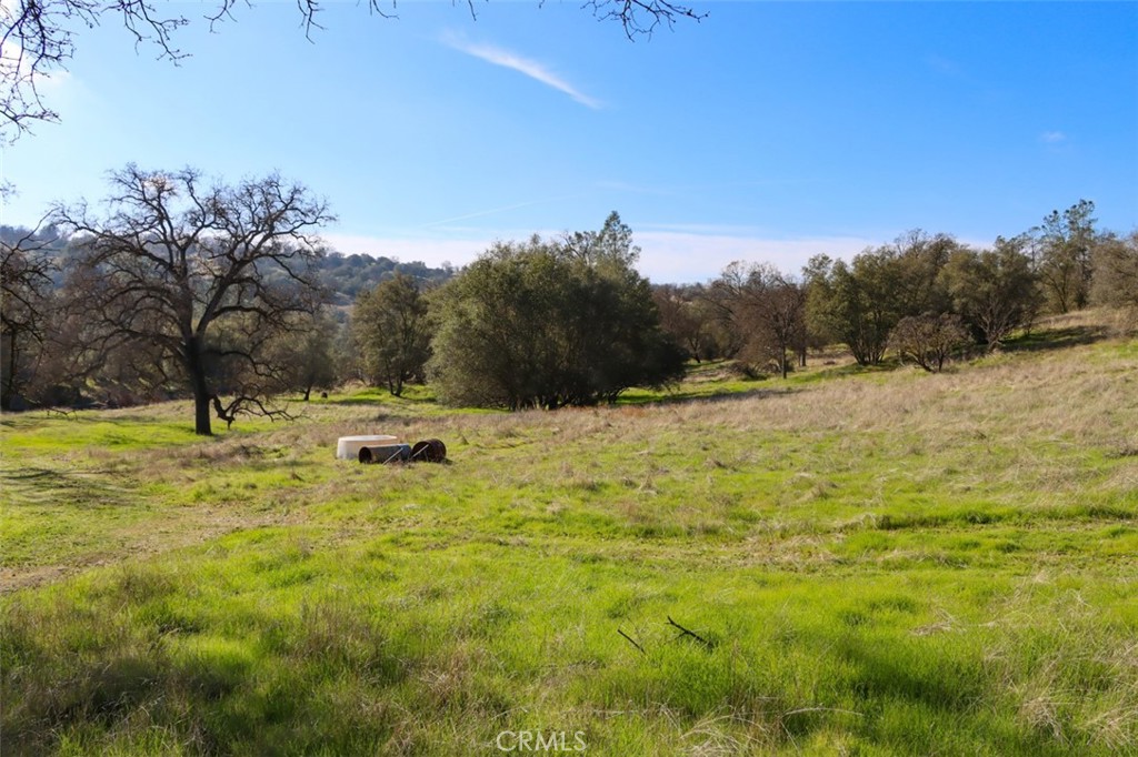 40461 Long Hollow Dr, Coarsegold, CA 93614