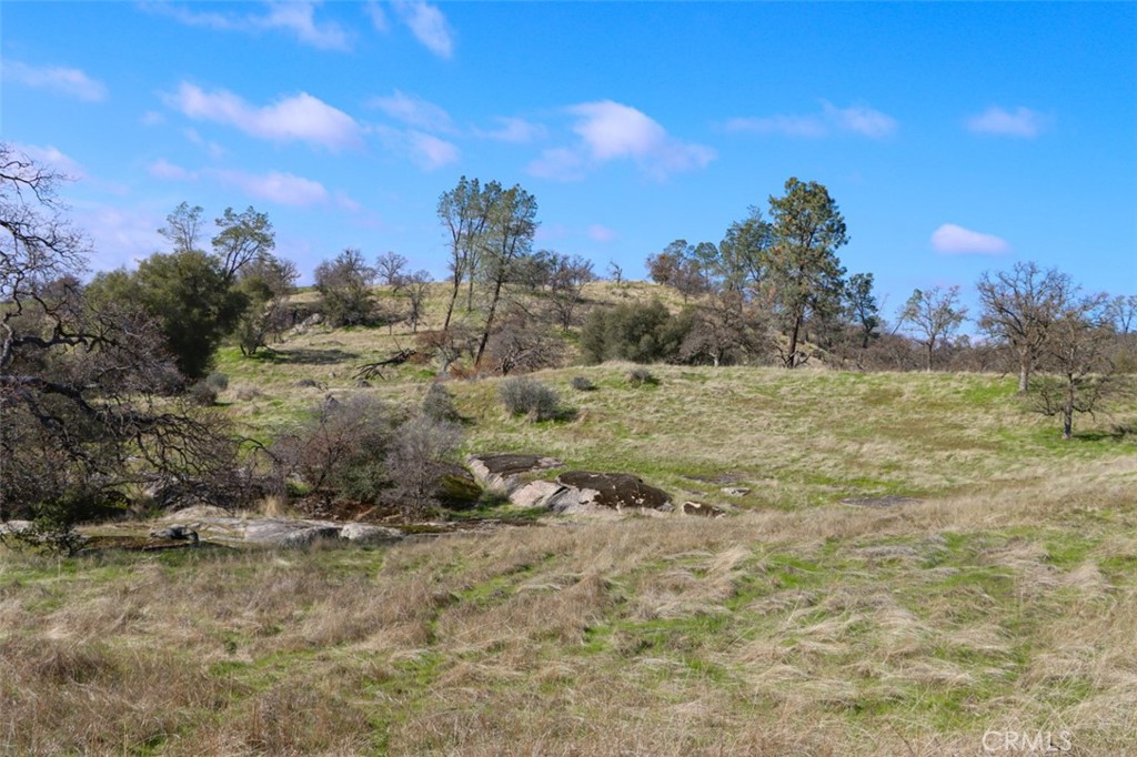 40461 Long Hollow Dr, Coarsegold, CA 93614