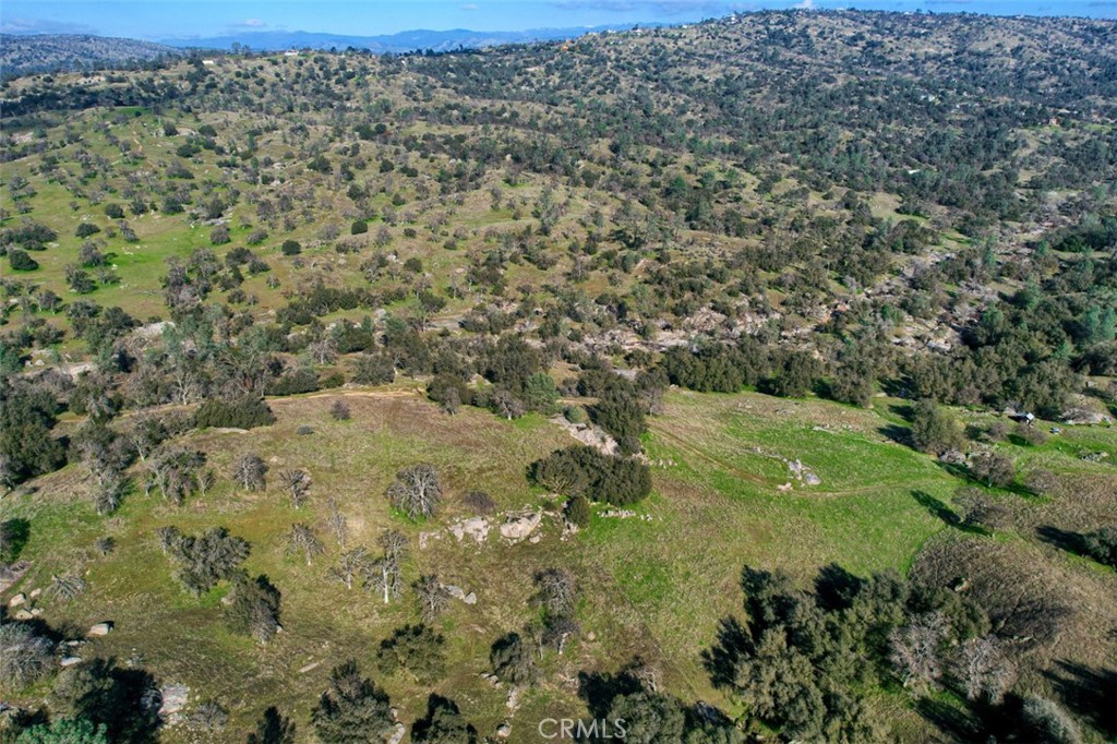 40461 Long Hollow Dr, Coarsegold, CA 93614