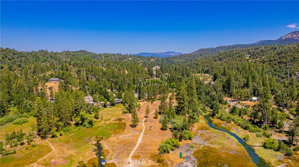 40333 Road 222 #102, Bass Lake, CA 93604