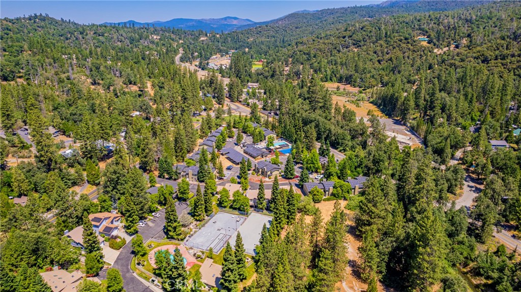 40333 Road 222 #102, Bass Lake, CA 93604