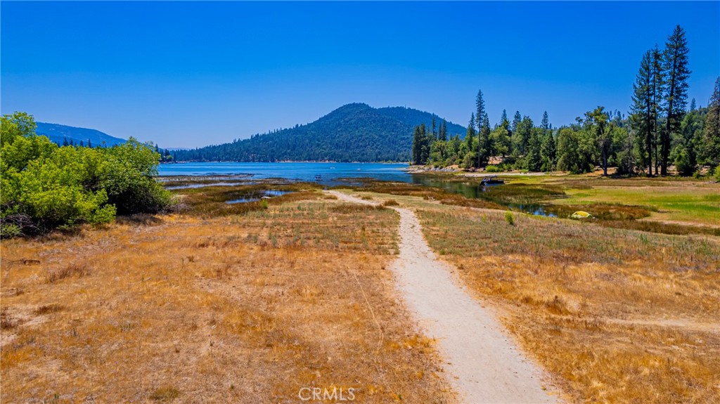 40333 Road 222 #102, Bass Lake, CA 93604
