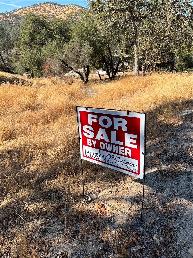 608 Deep Forest Ct, Coarsegold, CA 93614