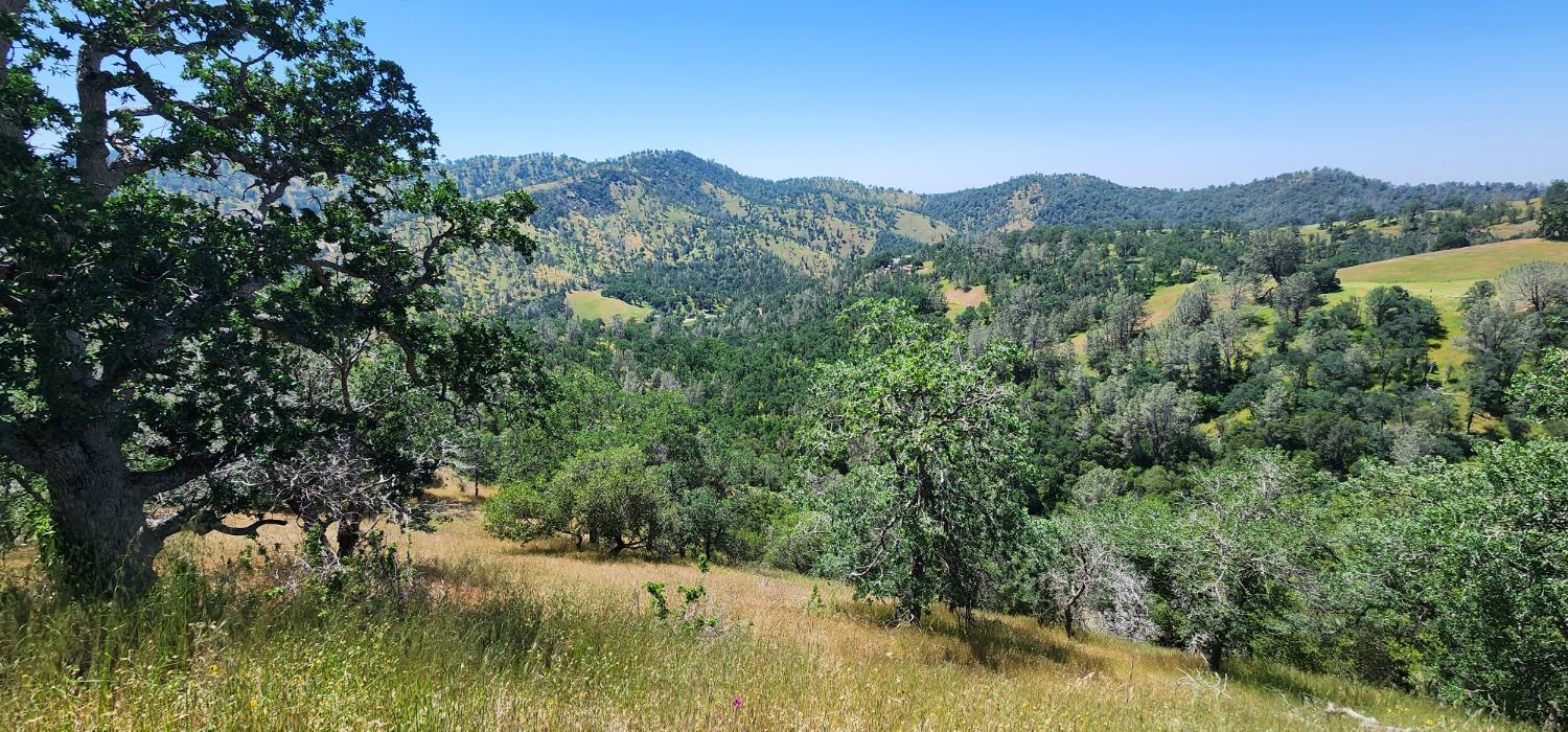 1111 Lazy L Summit Ln, Coarsegold, CA 93614