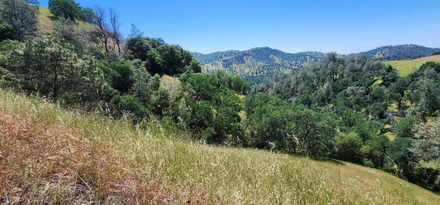 1111 Lazy L Summit Ln, Coarsegold, CA 93614