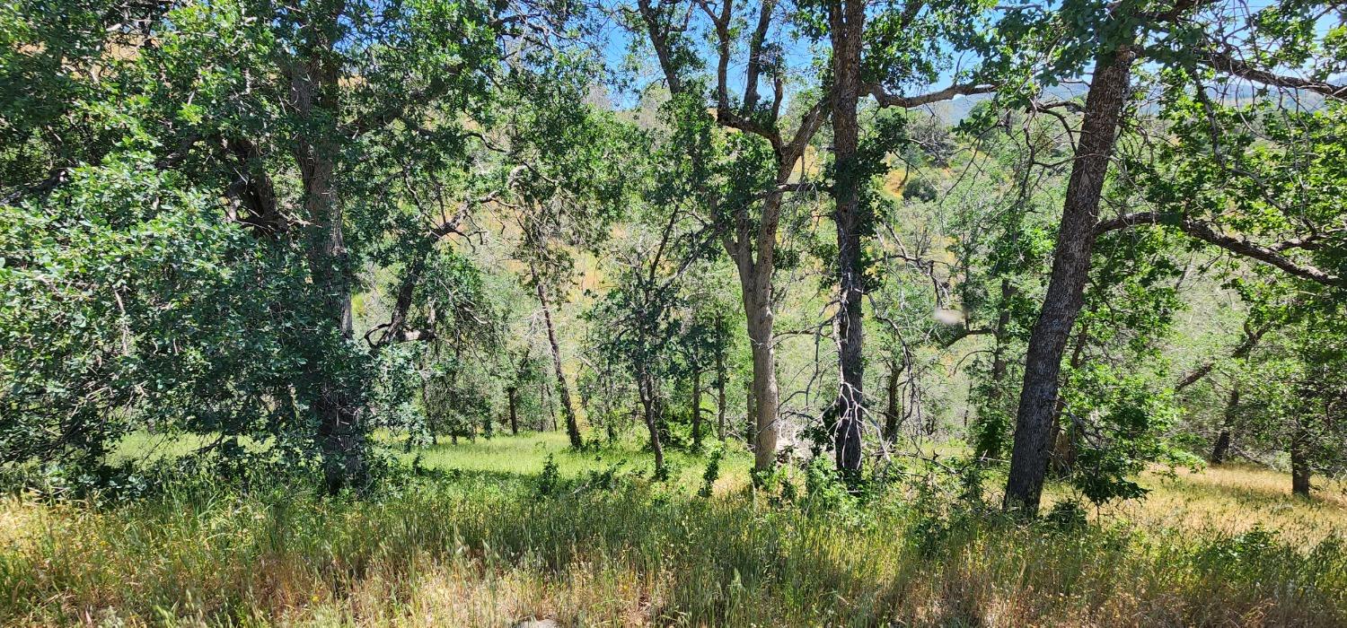 1111 Lazy L Summit Ln, Coarsegold, CA 93614