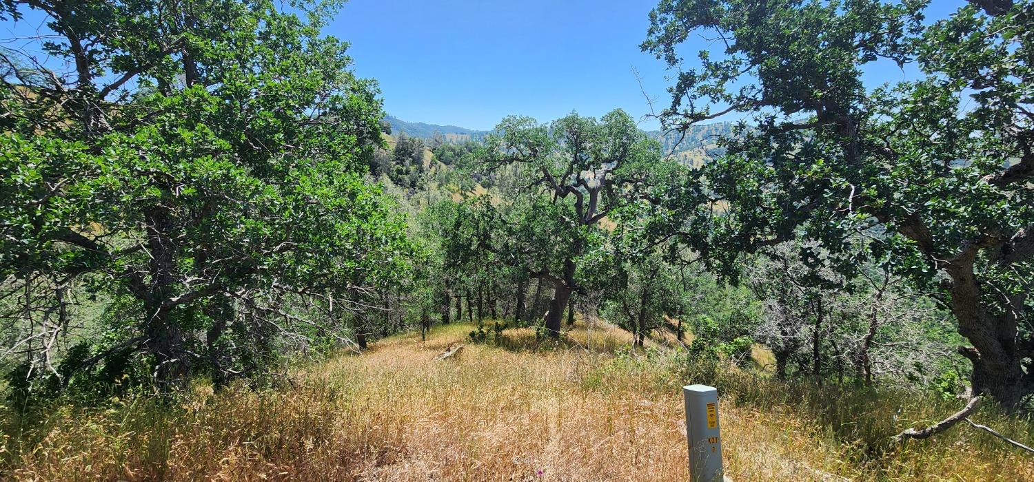 1111 Lazy L Summit Ln, Coarsegold, CA 93614