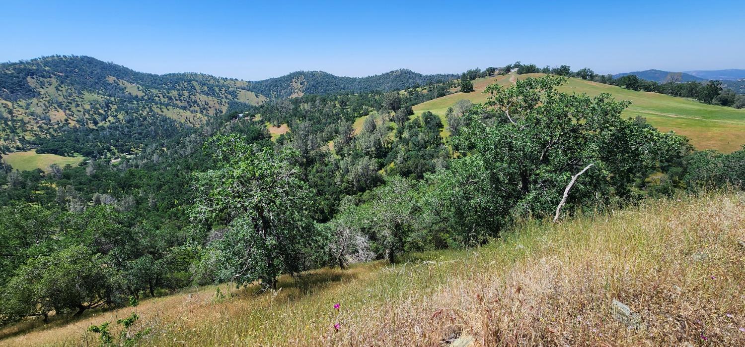 1111 Lazy L Summit Ln, Coarsegold, CA 93614