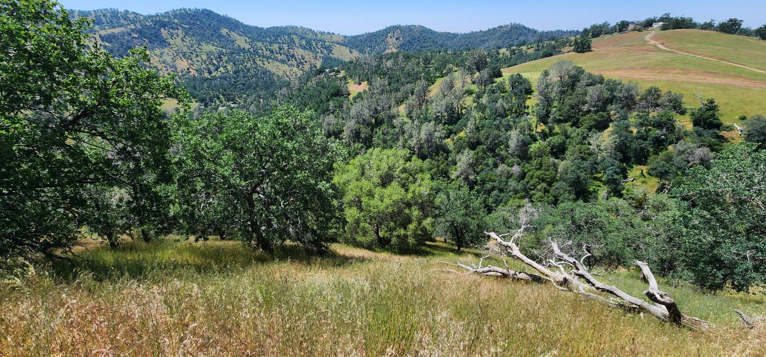 1111 Lazy L Summit Ln, Coarsegold, CA 93614