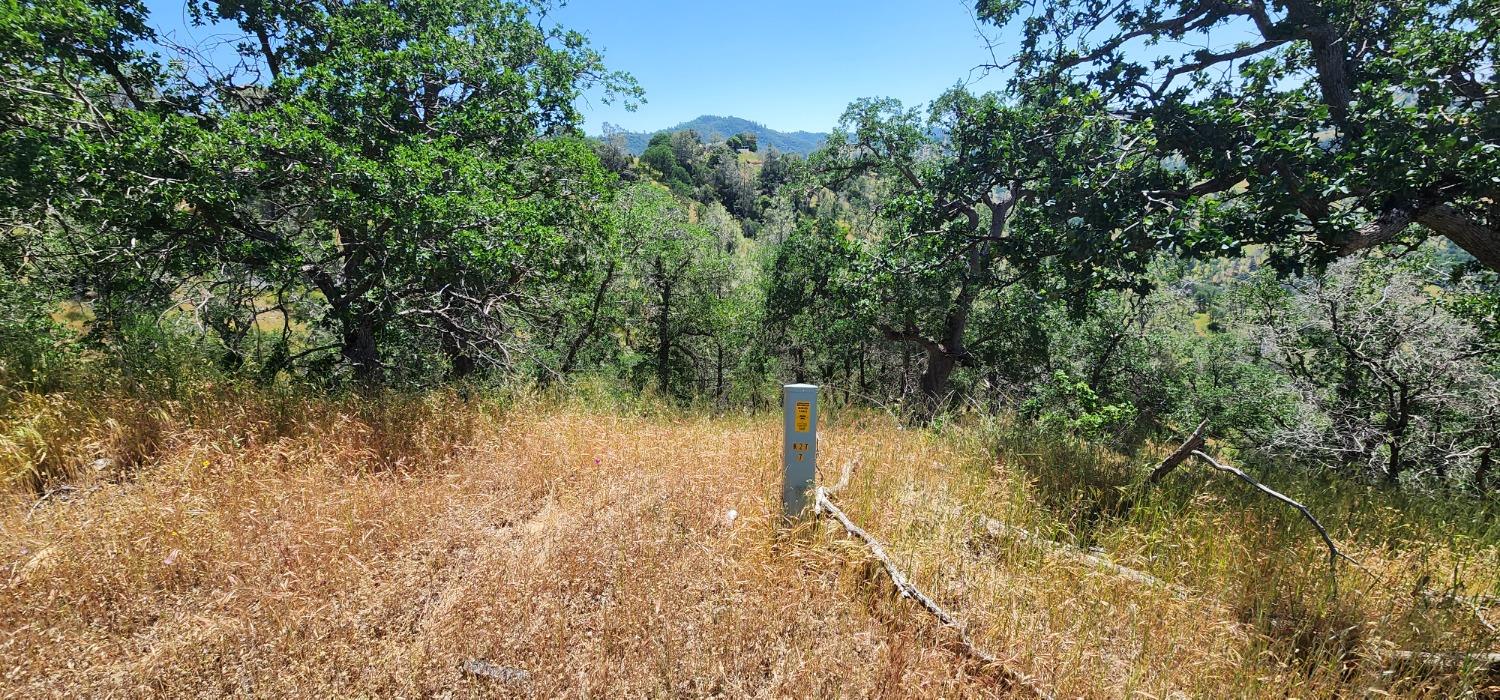 1111 Lazy L Summit Ln, Coarsegold, CA 93614