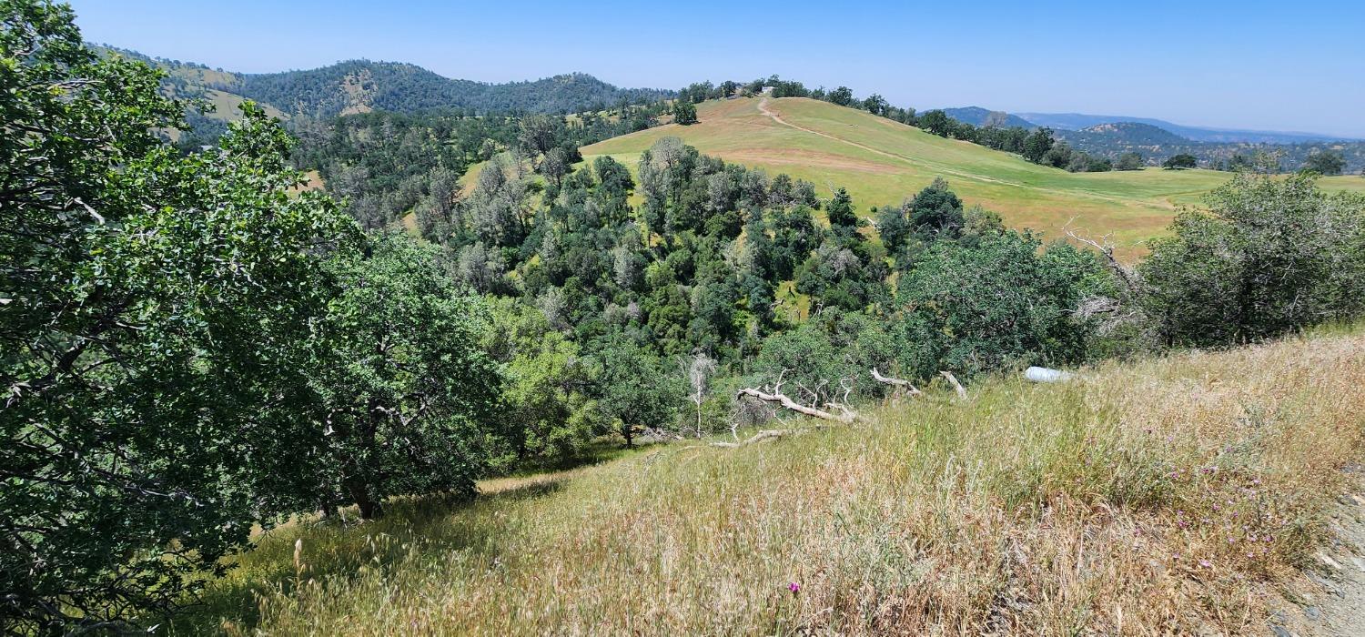 1111 Lazy L Summit Ln, Coarsegold, CA 93614