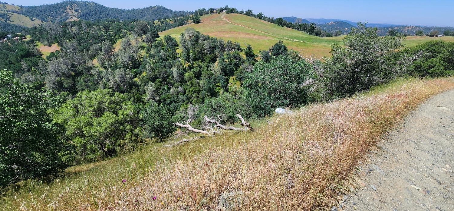 1111 Lazy L Summit Ln, Coarsegold, CA 93614