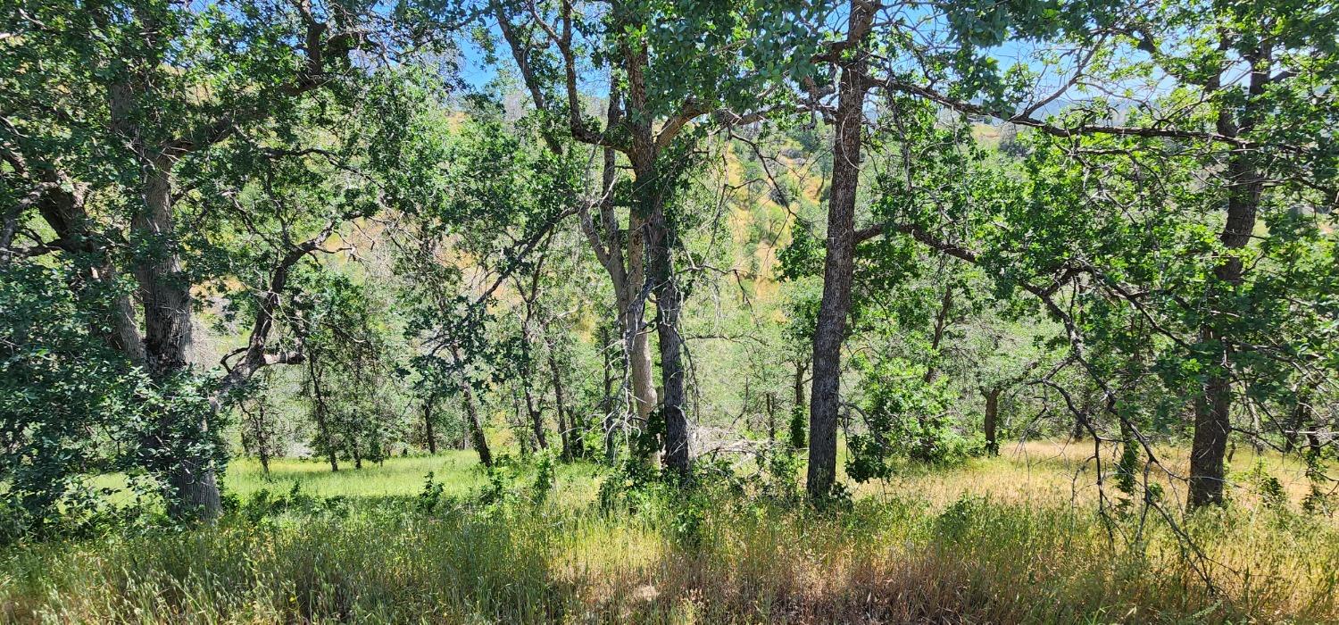 1111 Lazy L Summit Ln, Coarsegold, CA 93614