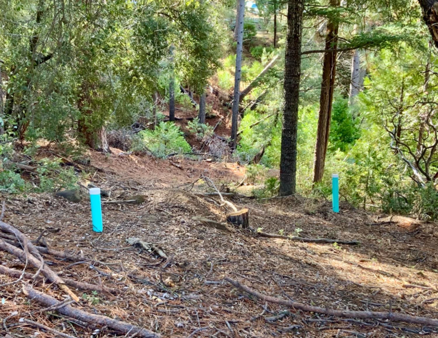 50963 Chu Ranch Rd, Oakhurst, CA 93644